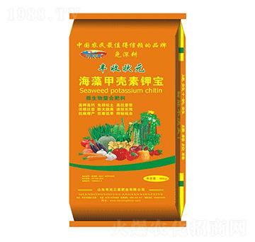 ך⛌-SՠԪ-ǷʘI(y)