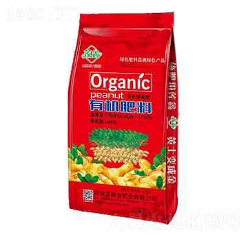 ЙC(j)ϣã-ɏΌʘI(y)