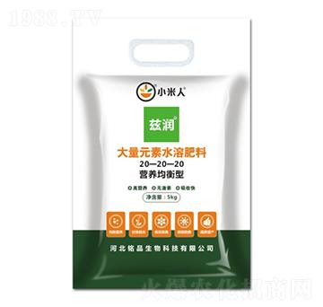 I(yng)B(yng)ʹԪˮܷ20-20-20-С-Ʒ