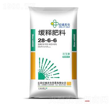 ጷ28-6-6-t컯-r(nng)