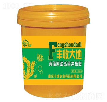 ԭ{_ʩ-Sմ-Sr(nng)I(y)