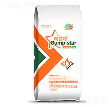 ׷ʩЙC(j)--ϣr(nng)I(y)