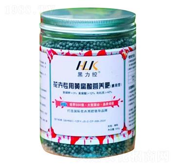 ܌(zhun)SI(yng)B(yng)--ԥʘI(y)