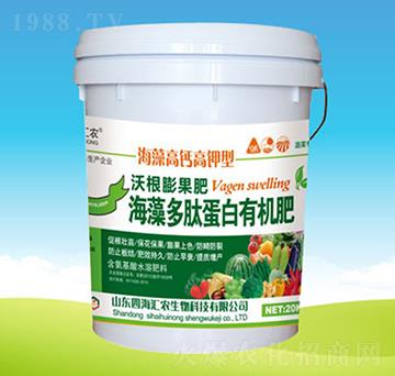 ߲ˌ-ĵЙC(j)-ĺRr(nng)