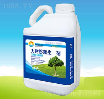 (sh)L(zhng)-ĺRr(nng)