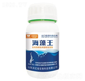 ڼԭϹ(yng)̣-֠(yu)