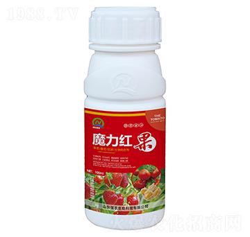 ݮѹD(zhun)ɫ-ħt-r(nng)