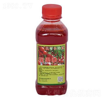 L(zhng)Gֱ-r(nng)I(y)