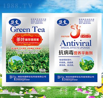 ~ѿ+IB(yng)ƽ℩-ֲʥ-Ұr