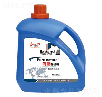 �����ЙC��-����ʩ