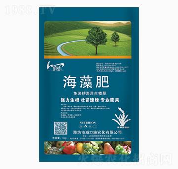 �����-����ʩ