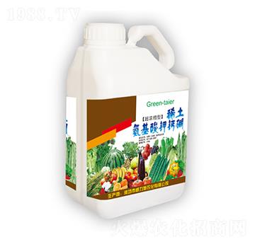 ϡ����������}��-����