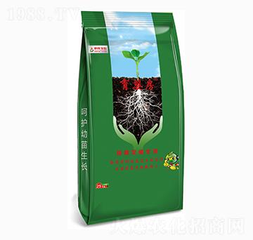 뷿Զֲ(zhun)ã-ļB(ti)