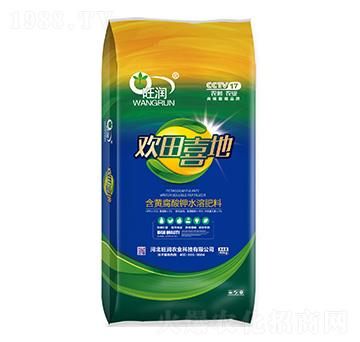 Sˮܷ-gϲ-(rn)r(nng)I(y)