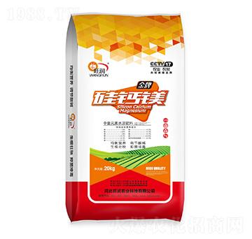 Ԫˮܷ-}V-(rn)r(nng)I(y)