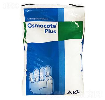 WG14-14-14-(rn)r(nng)I(y)