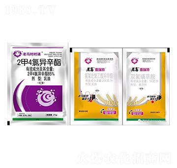 200ÿȷᮐ+50ÿpǲݰ+85%Ȯ-R-r(nng)I(y)