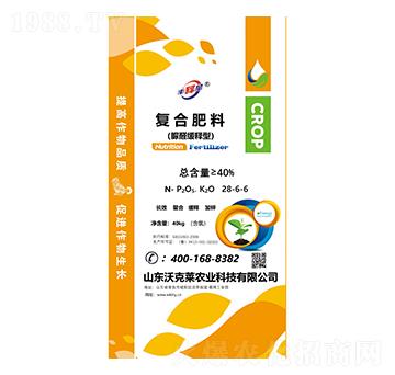 ȩ͏ͺϷ28-6-6-S-ֿR