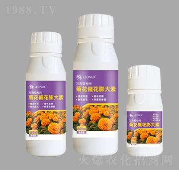 ջ߻أf(wn)۾Ռã-RW(xu)