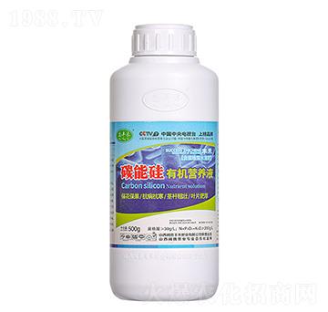 ̼ܹЙC(j)I(yng)B(yng)Һ ƿ S