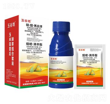 ݬȥ+ס ȵ (lin)rI(y)