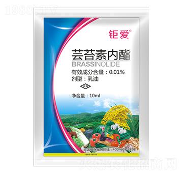 0.01%|̦؃(ni) ⠐ ⠰r(nng)I(y)