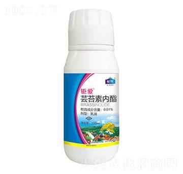 0.01%|̦؃(ni) ⠐ ⠰r(nng)I(y)