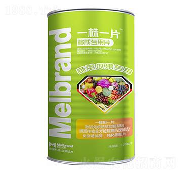 ߲˹Ϲ(zhun) һһƬ (l)