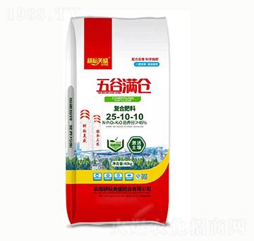 (f)Ϸ25-10-10 ȝM} ʢ