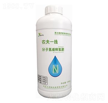 ӵጵ r(nng)һ(xin) ݾG