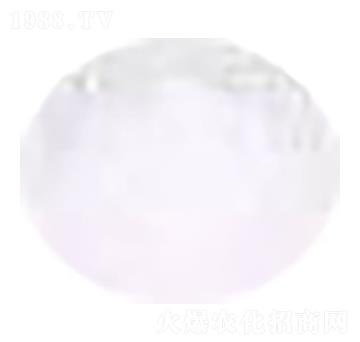 ʟo(w) ؐZr(nng)I(y)