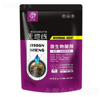 ġ߾-o(w)ؾ-ʥr(nng)I(y)