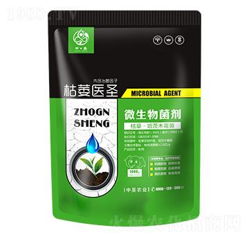 ݲݡľù-ήt(y)ʥ-ʥrI(y)