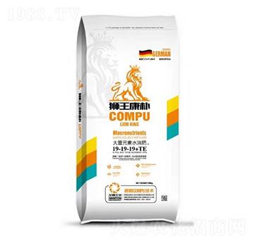 Ԫˮܷ19-19-19+TE-{-hvrI(y)