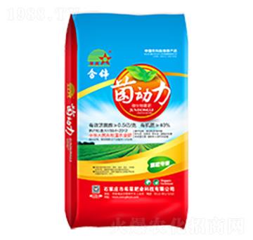 \(dng)(j)-ϣǷʘI(y)