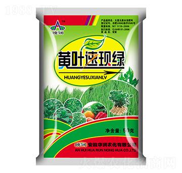 Ԫˮܷ-S~٬F(xin)G-Ar(nng)