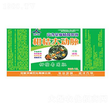 ߺֲҺ-̽۴(dng)}-A(rn)r(nng)