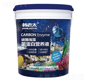 ̼øנI(yng)B(yng)Һ-n̫-Ƽ