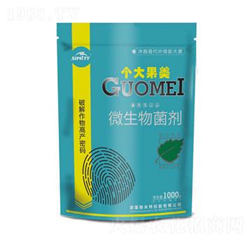 1000g΢--Sr(nng)I(y)