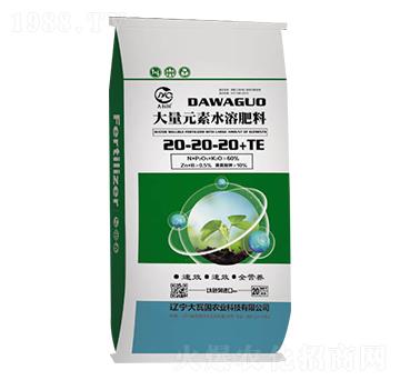 Ԫˮܷ20-20-20+TE-߇(gu)r(nng)I(y)