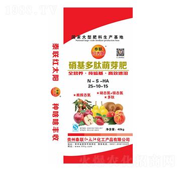 ѿ25-10-15-̩(lin)t̫(yng)