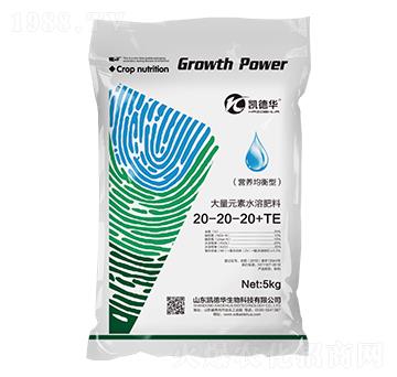IB(yng)ʹԪˮܷ20-20-20+TE-PA