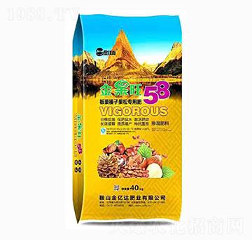 ӹɌ(zhun)÷-|_(d)ʘI(y)