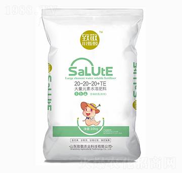 Ԫˮܷ20-20-20+TE-¾rI(y)