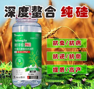 Ԫˮܷ-~SѼ-r(nng)¶