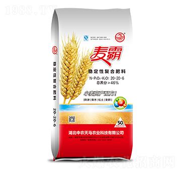 (wn)ԏ(f)Ϸ20-20-6--r(nng)R