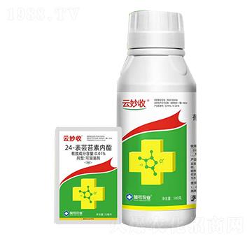 24-|̦؃(ni)--̖(ho)r(nng)I(y)