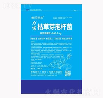 ݲѿߗU--P(yng)r(nng)