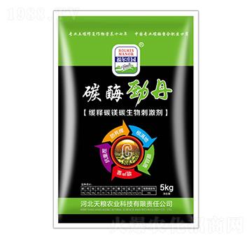 5kg̼øŵ-f@-Zr(nng)I(y)