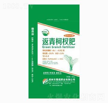 辷12-0-3--ɟjʘI(y)